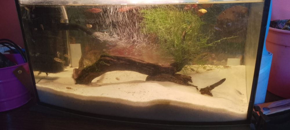 Sprzedam akwarium 60 litrow