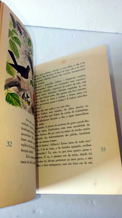 O Bosque Mágico - Biblioteca Infantil