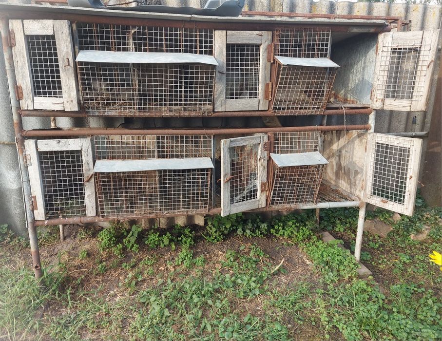 Клітки для кроликів / нутрій