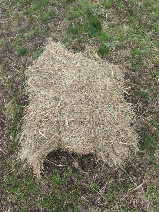 Сіно в тюках (лугове, канареечник (двукисточник))