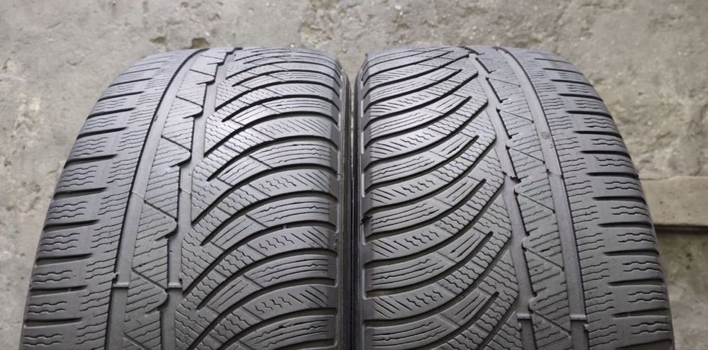 Шини Michelin Pilot Alpin 225/55 R18 пара