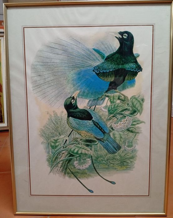 Coleção de quadros