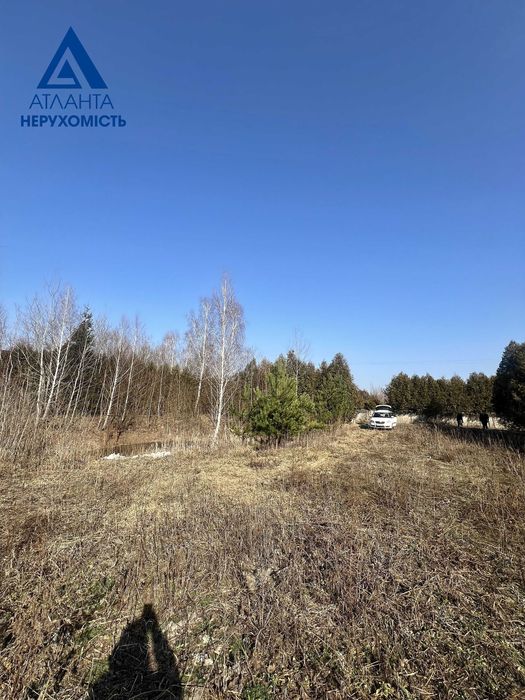 Пропонуємо до продажу 2 суміжні земельні ділянки  в селі Озерце.