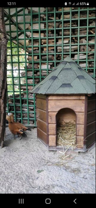 Будиночок для мандаринок, білок, птахів.