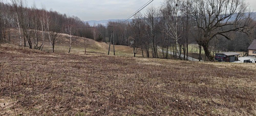 SPRZEDAM! Działka 70 ar, Stasiówka - Widok 5