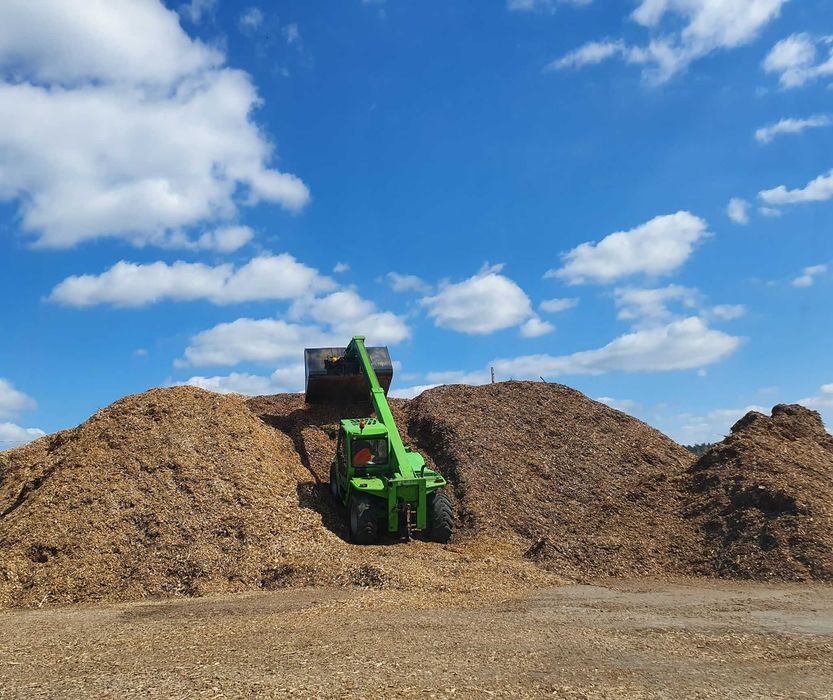 wycinka drzew, skup zrębki, gałęzi, biomasy, wywóz odpadów drzewnych