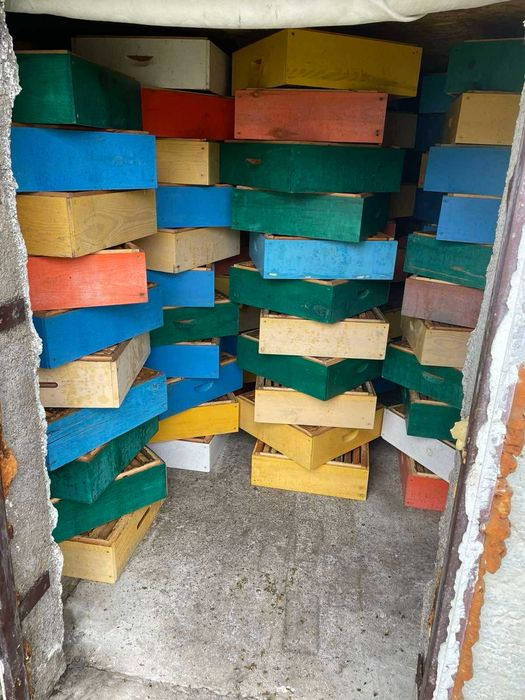 Продається пасіка