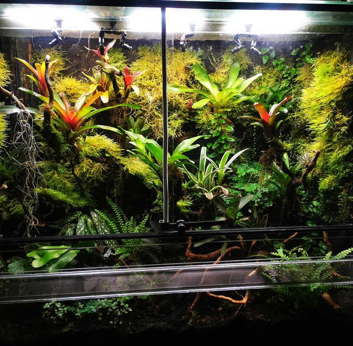 Lampa do uprawy roślin terrarium wiwarium 36W fulspectrum PRO