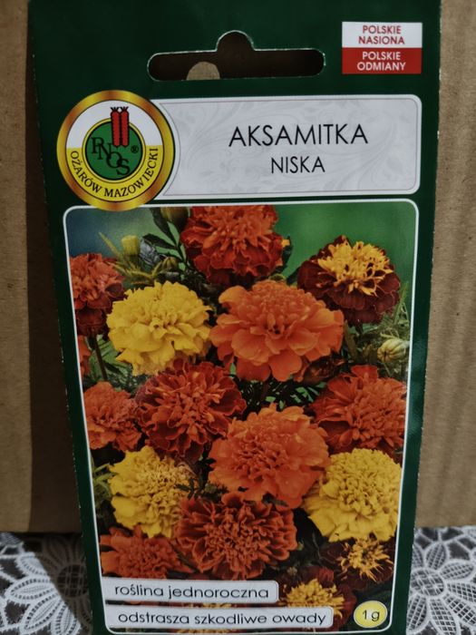 Aksamitka niska mix nasiona