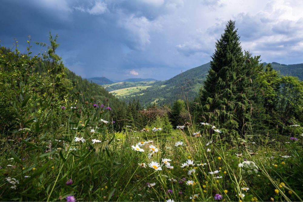 ЕКСКЛЮЗИВНА земельна ділянка площею 300 сот.