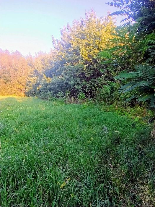sprzedam działkę budowlaną - Więcej