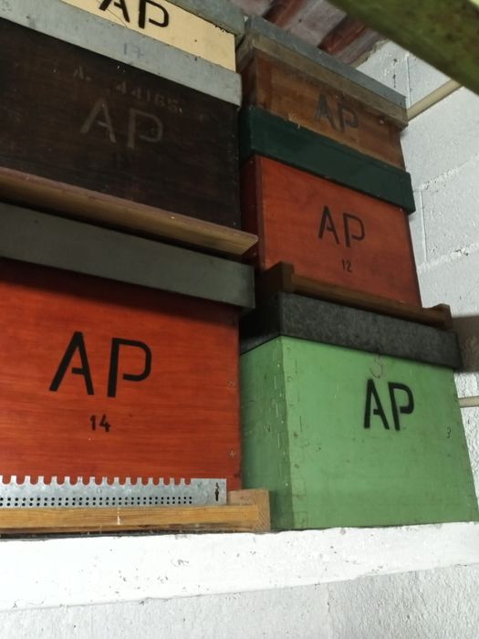 Material de apicultura