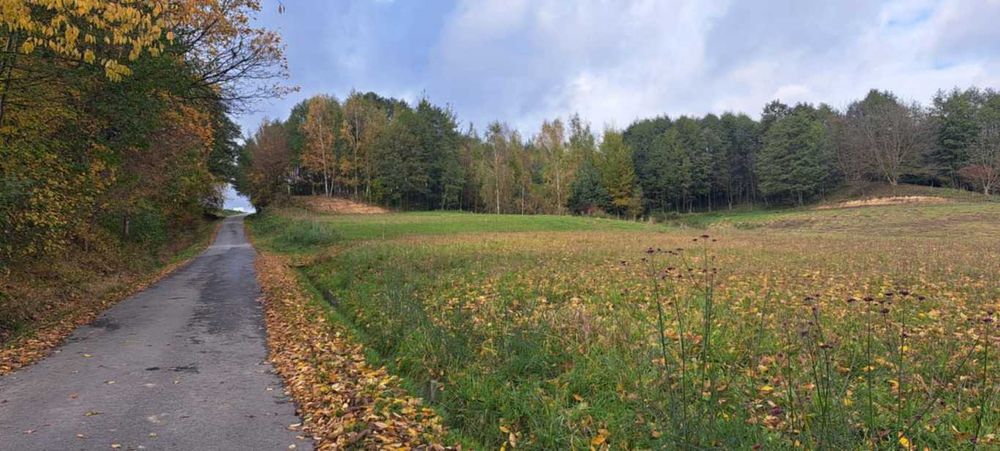 Działka budowlana 12,5 ar Czudec pow. Strzyżów | piękne widoki | sąsiedztwo lasku | WZ | media | 20 min do Rzeszowa - Widok 3