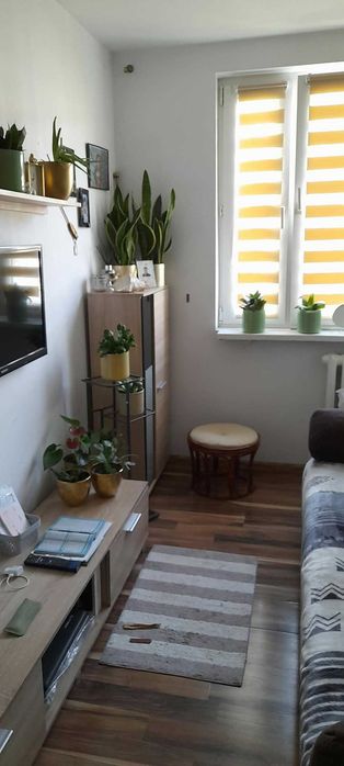 2 pokojowe mieszkanie w Pruszkowie os. B. Prusa