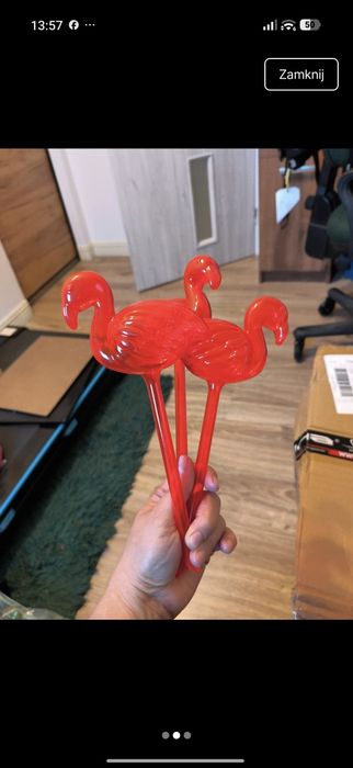 Nawadniające rośliny flamingi 3 szt