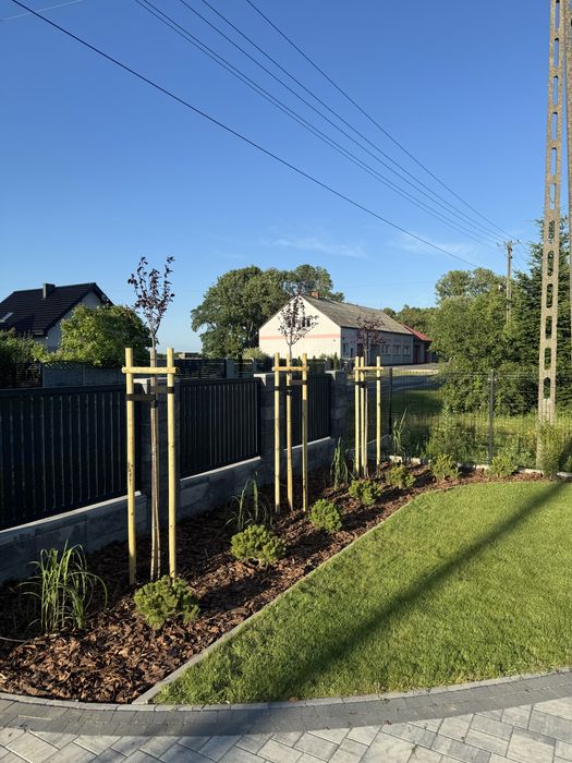 Zakładanie ogrodów pielęgnacja Trawnik Nawadnianie automatyczne