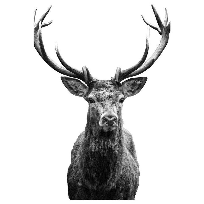 IKEA Imagem BJÖRKSTA (Artigo Novo)