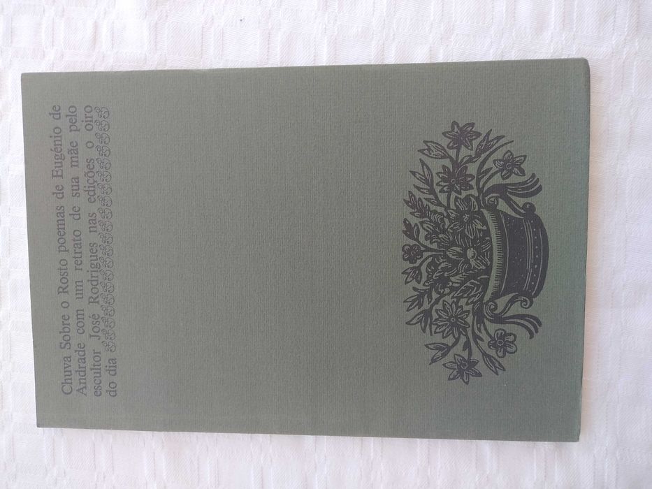 Livro Chuva Sobre o Rosto