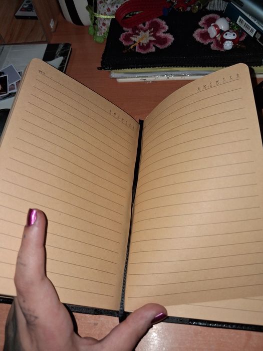 Caderno diário brilhante