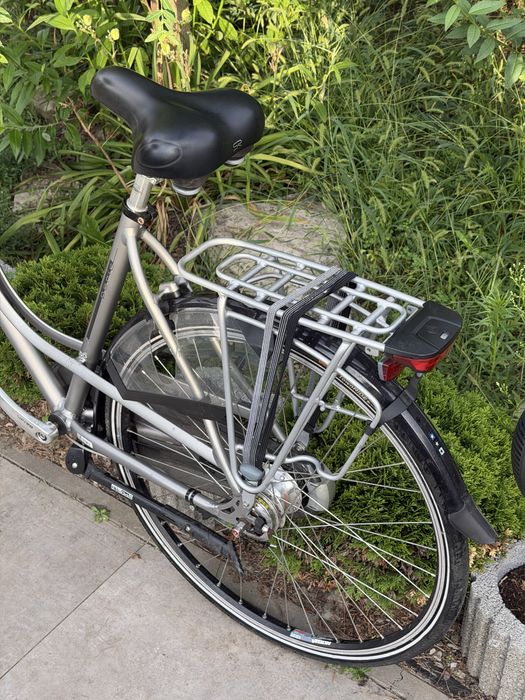 Damka Gazelle Paris Plus H57 Holenderski