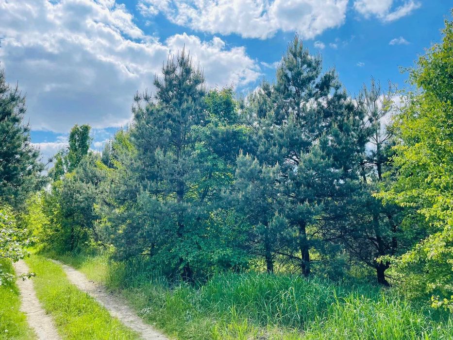 Продаж,  ділянка 33га  в Лісі будівництво під Києвом