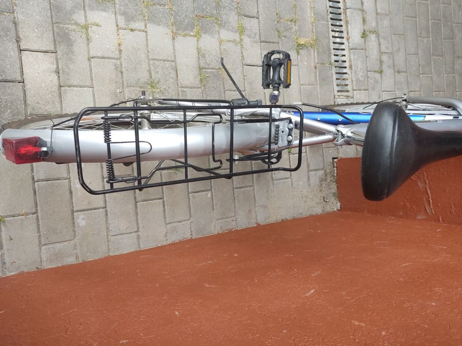 Rower męski Arkus Delta Trend 301 19