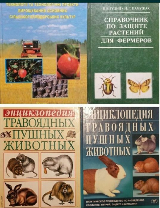Латинська мова для ветеринарів. Англійська мова. Ветеринарія свиней
