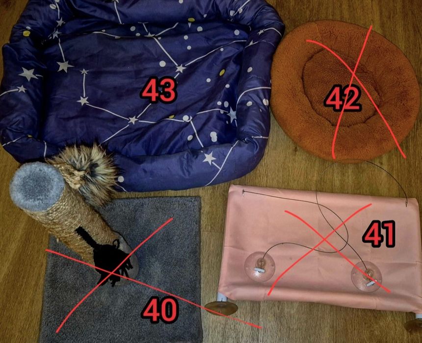 Речі для кота | Розпродаж | Дуже дешево | Нижче собівартості | Торг