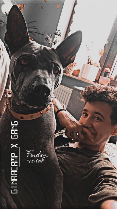 GinaaCamp Hotel dla psów i kotów / ośrodek dla psów / kochamy mądrze