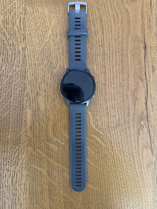 Garnin forerunner 255