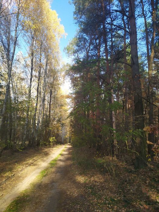 atrakcyjna działka budowlana pod budownictwo jednorodzinne 2000 m kw w Kamionce - Widok 3