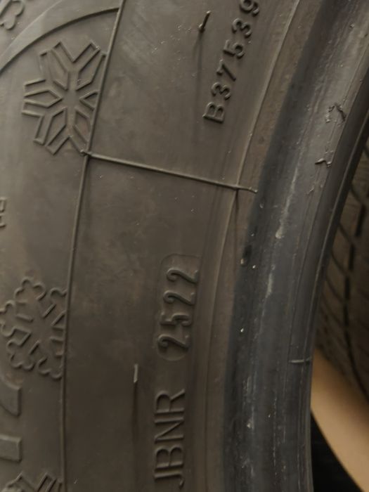 шини зимові dunlop