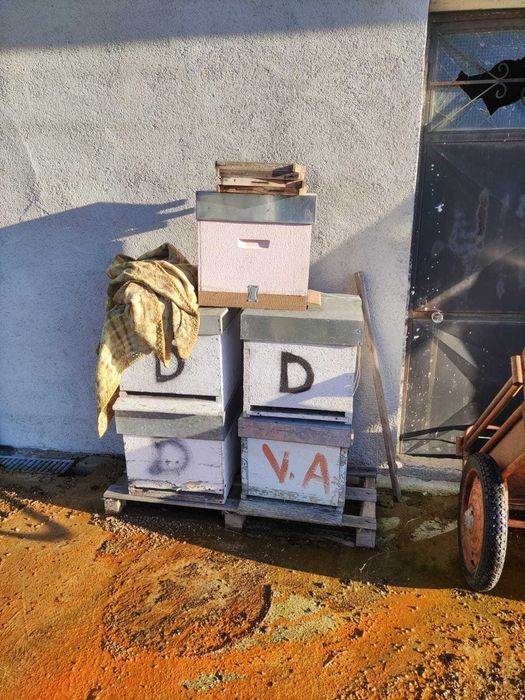 Material apícola