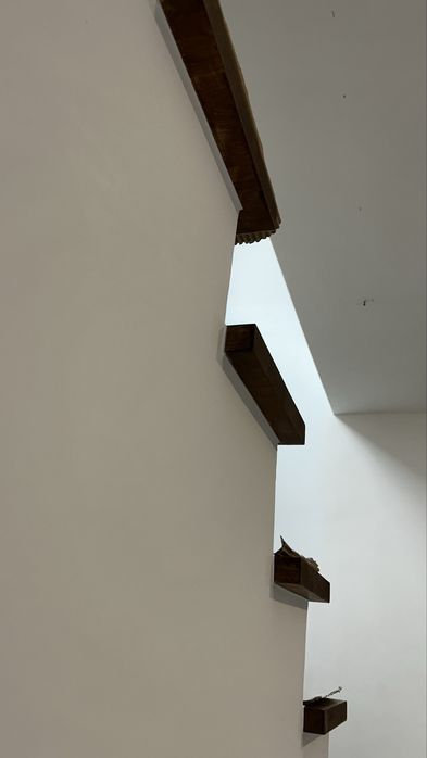 Limpo estofos, tapetes. (Limpeza de garagens)