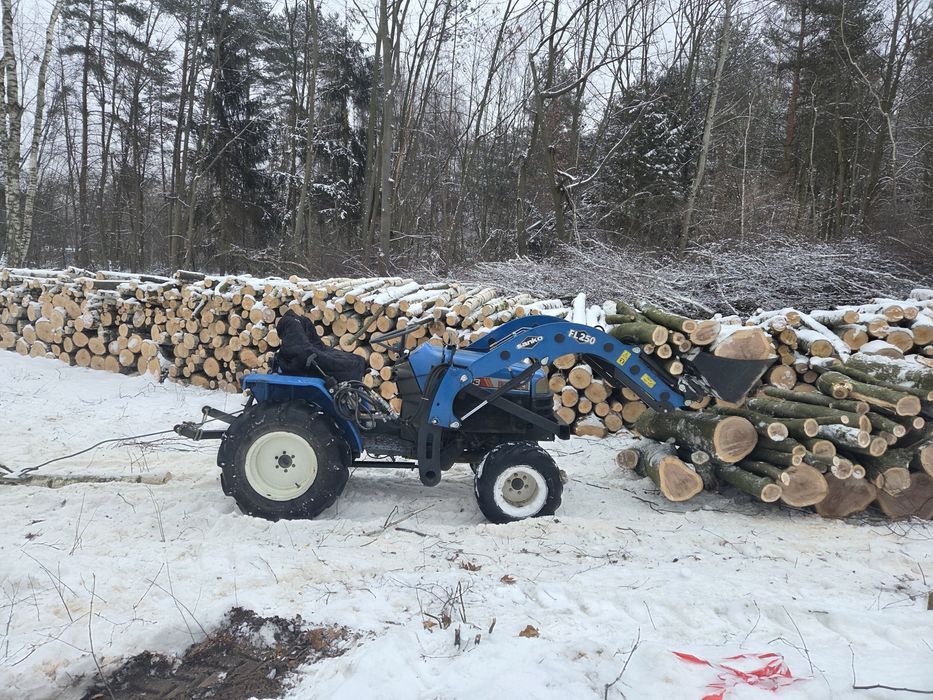 Wycinka drzew - także trudnych | przygotowanie działek