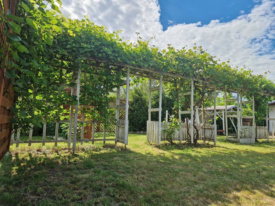 Klimatyczna działka na ROD Zabłocie| 361 m² | Kozanów - View 3