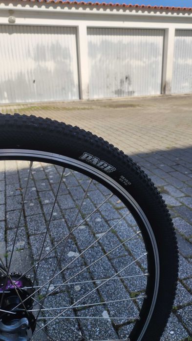Bicicleta pinhaleira