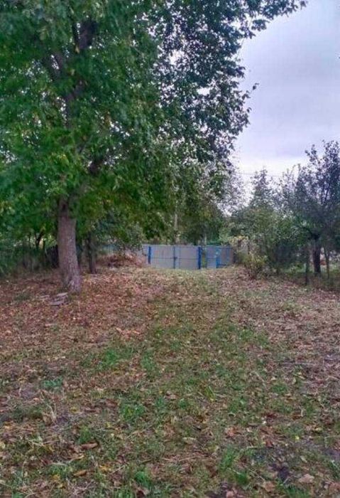 (7) Продаж земельної ділянки в с. Комарів (5813)