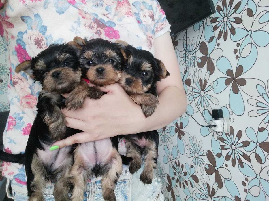 Супер міні і міні,дівчатка і хлопчики