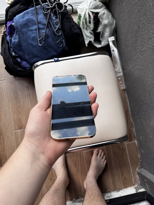 iPhone 13 pro max