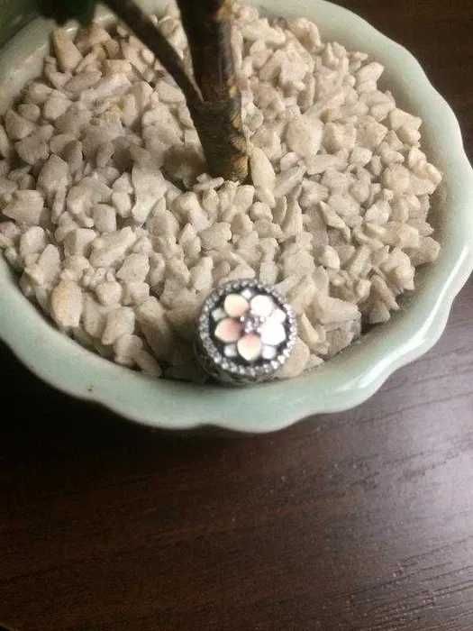 Шарм pandora - срібло 925