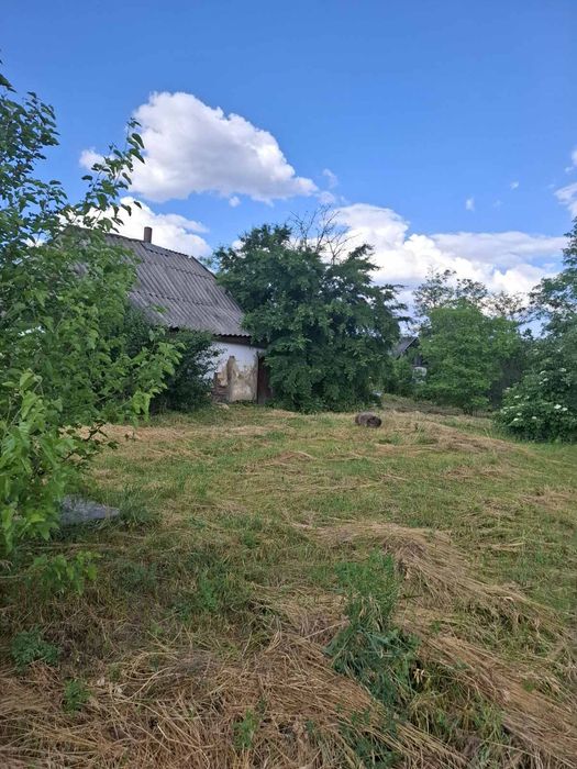 Продаж земельної ділянки із старим будинком в с.Будки
