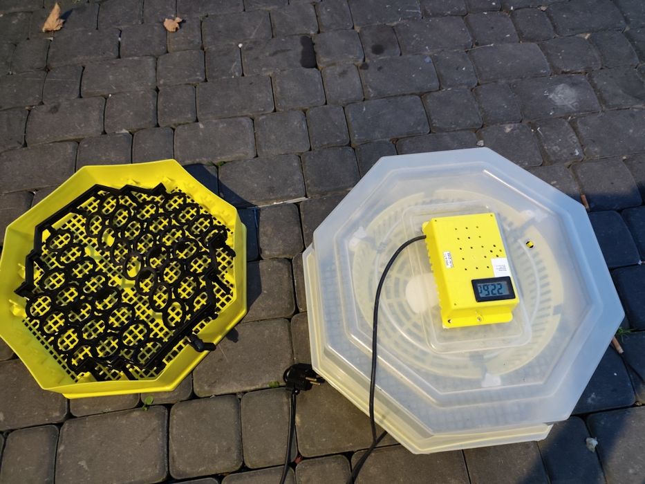 Inkubator CLEO 5