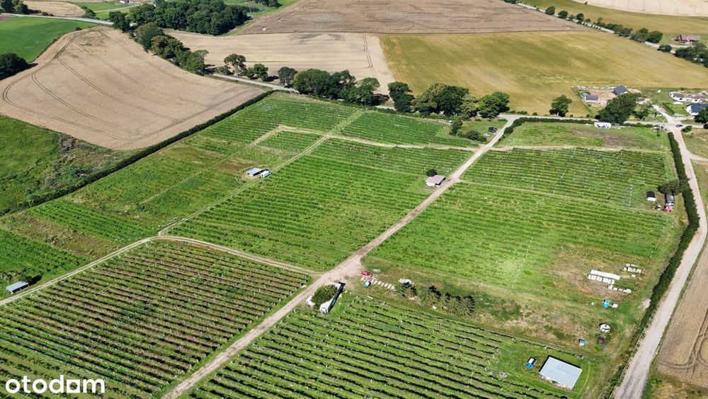 Malownicze działki budowlane ok. 1000 m² do 1500 m² - Widok 4