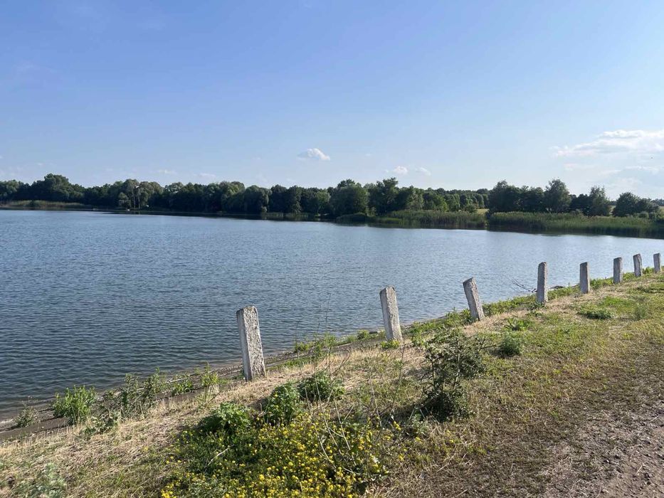 Продам землю 12 гектар 1000$ за га