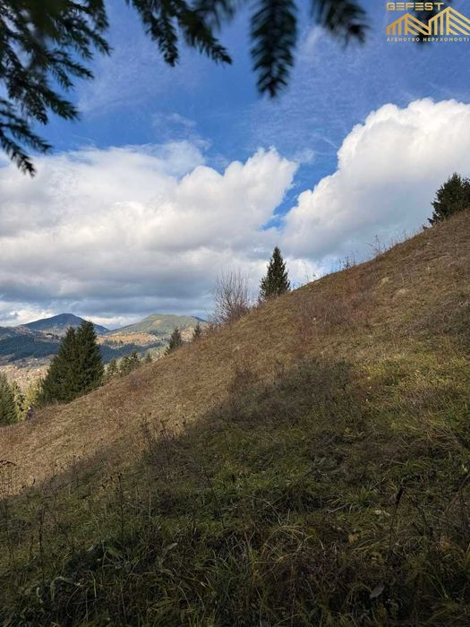 Верховина. 74сотих. Нерухомість. Земля. Карпати. Верховинський район