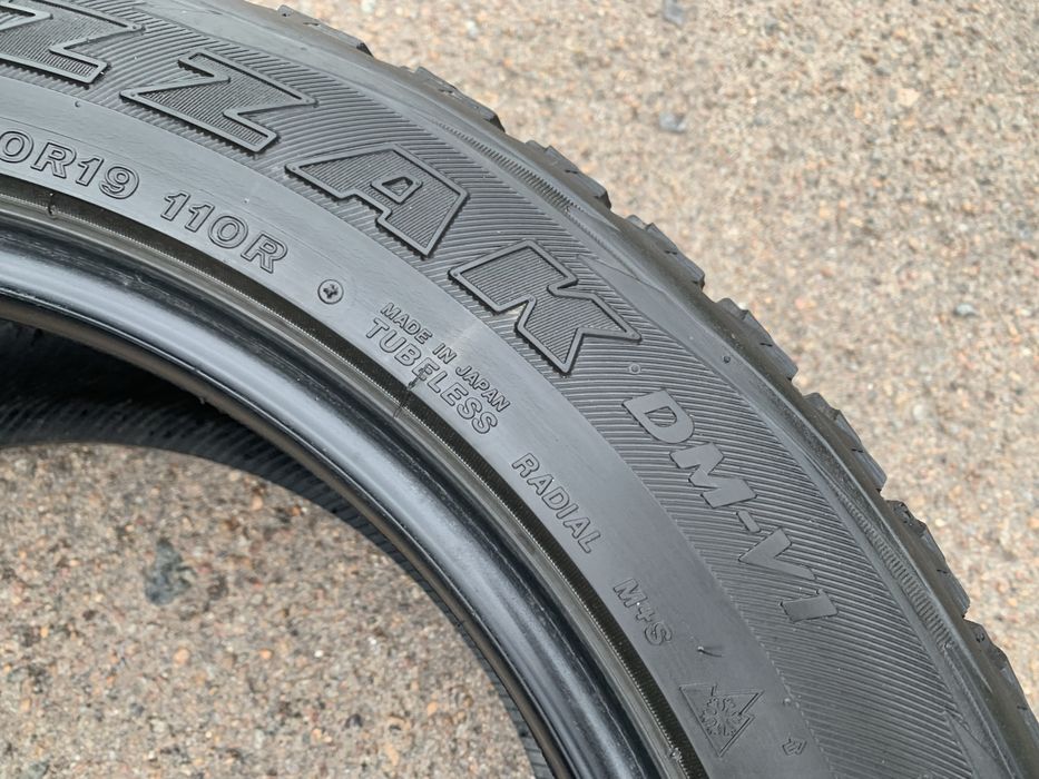 Шини Bridgestone Blizzak DM-V1 265/50 R19