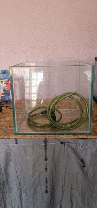 Aquario de criação