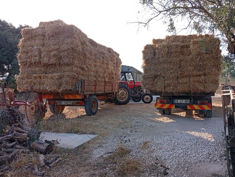 Vendo fardos de palha e feno