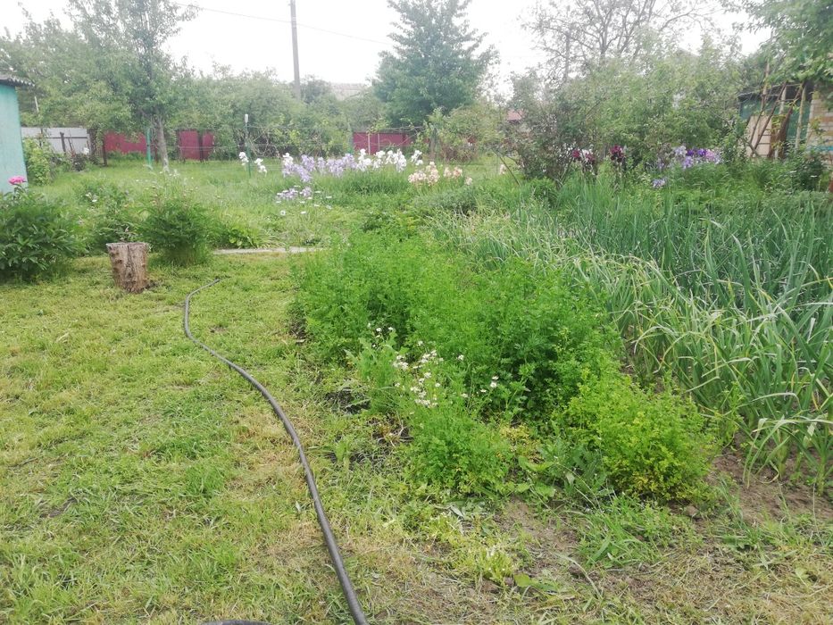 Дача з цегляним будинким кооператив Озон